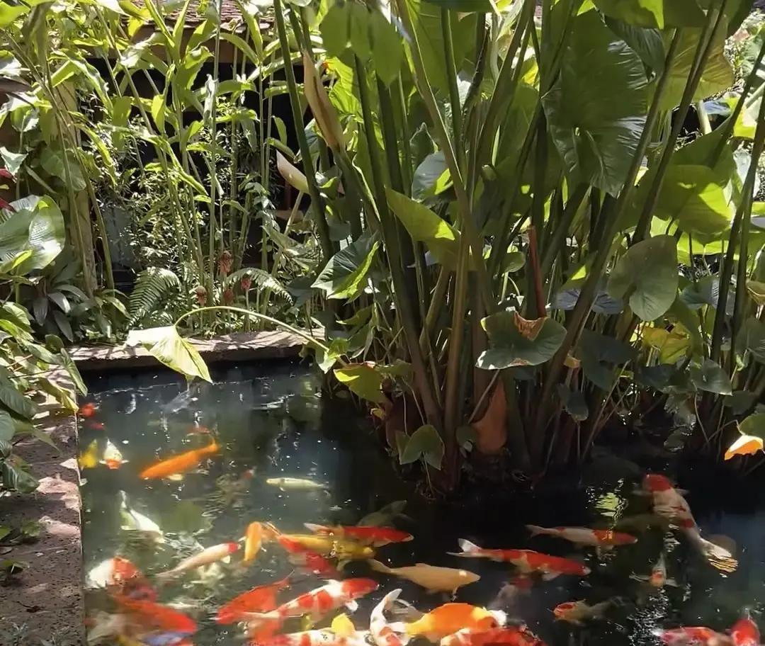昨天天一冷，我在家拆开婆婆从上海寄来的纯羊绒围巾，摸着那软糯的手感，心里五味杂陈