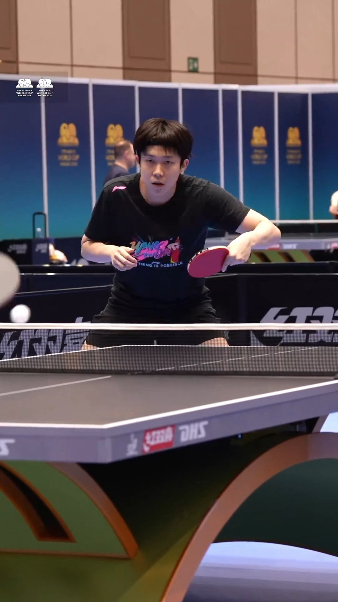 训练宝🥰狗儿这个头发显得头小小的好看呢