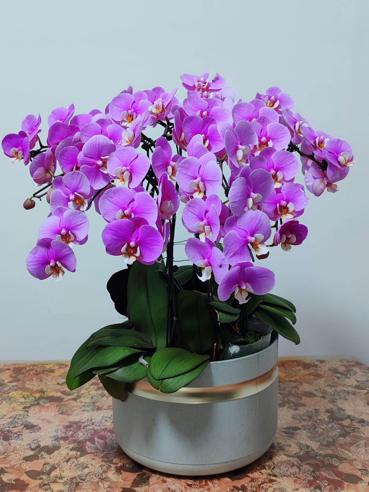 每个人都渴望健康长寿，然而有些事却难以遂愿。人究竟活到多大岁数才好呢？自然是越长