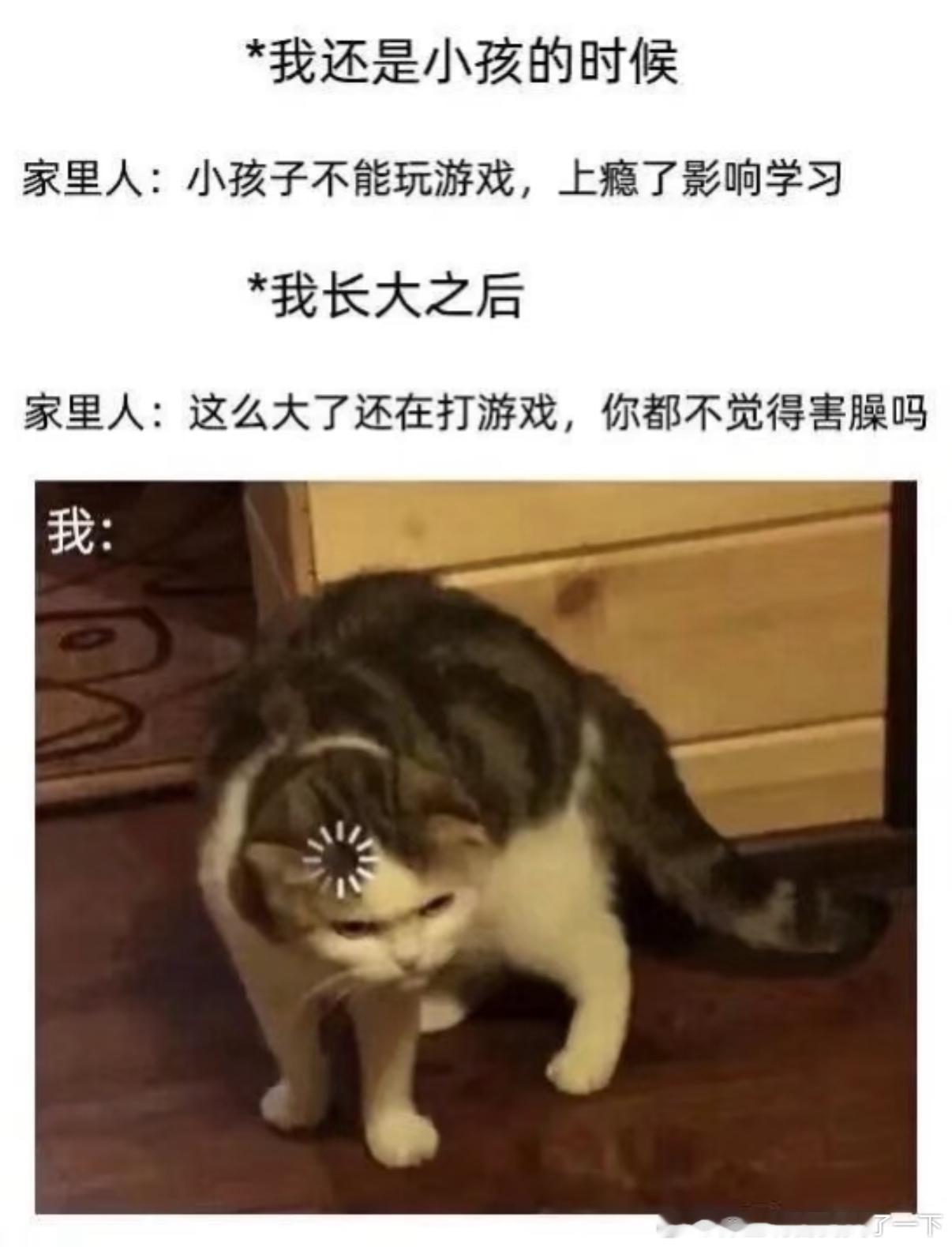 5392又来​​​