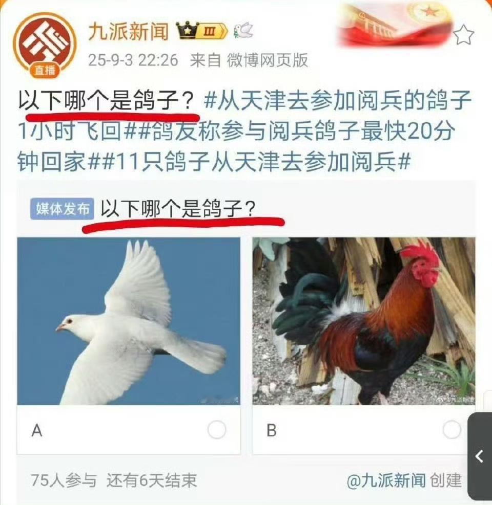 媒体记者什么脑子呀？