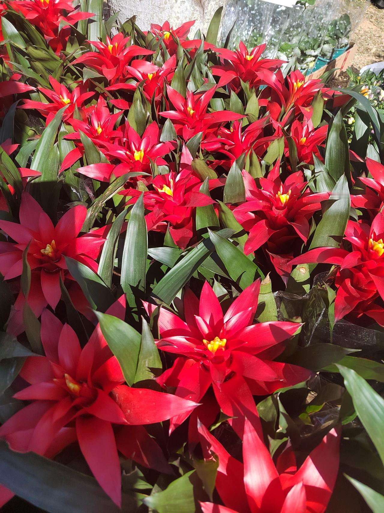 有些人说农村特别讲究迷信和风水的问题，我想说的一个例子，就是我们家乡的那一条村，