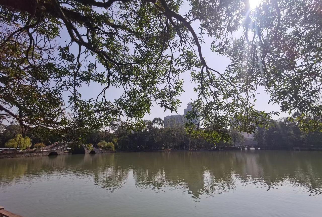 爱情的激情为何难以长久?刚开始恋爱时，那多巴胺疯狂分泌，看对方哪哪都好，就像