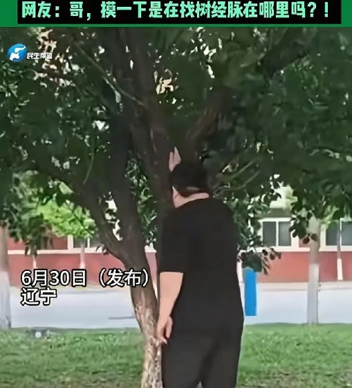 男孩树下捡杏，男子一招“铁山靠”，让男孩满载而归！6月30日，辽宁一男子外出