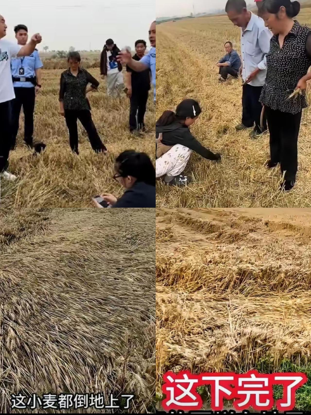 襄阳大妈讹人这事太败好感，给湖北人抹了黑，发酵的负面影响真的不亚于恶性事件，任谁