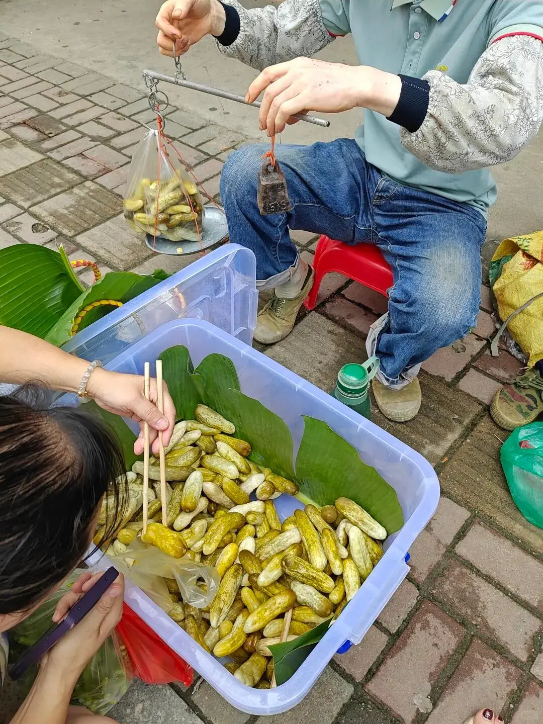 一口一个嘎嘣脆，这是什么呢？你吃过吗？