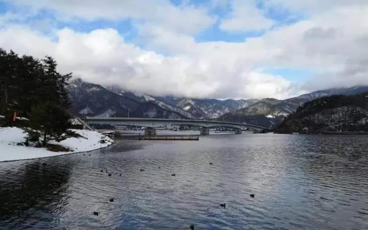 日职联：柏太阳神-清水心跳#足球##旅游##宝可梦#