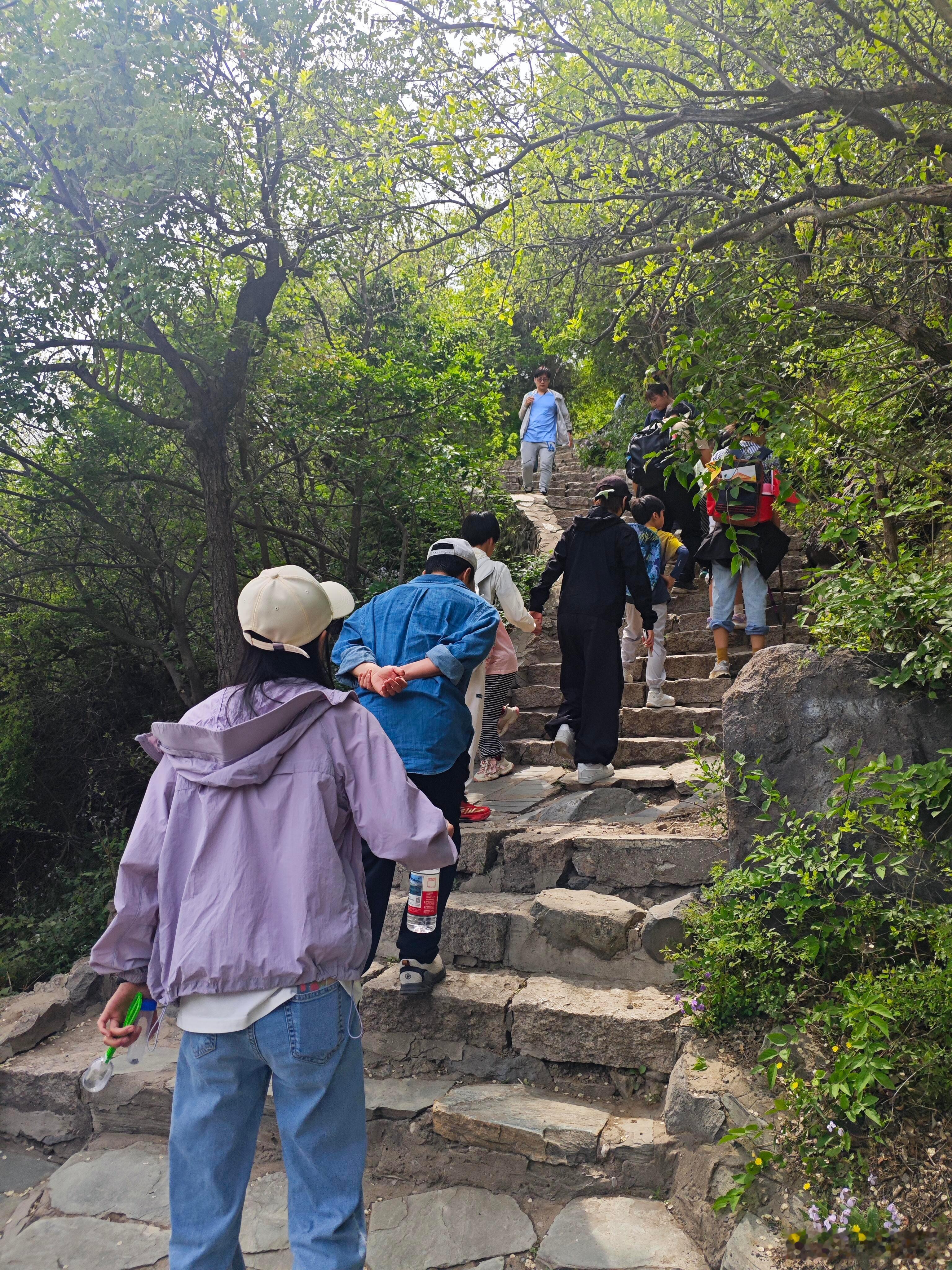 偶遇吴京谢楠一家爬香山吴京谢楠11岁儿子身高偶遇吴京谢楠一家爬香山