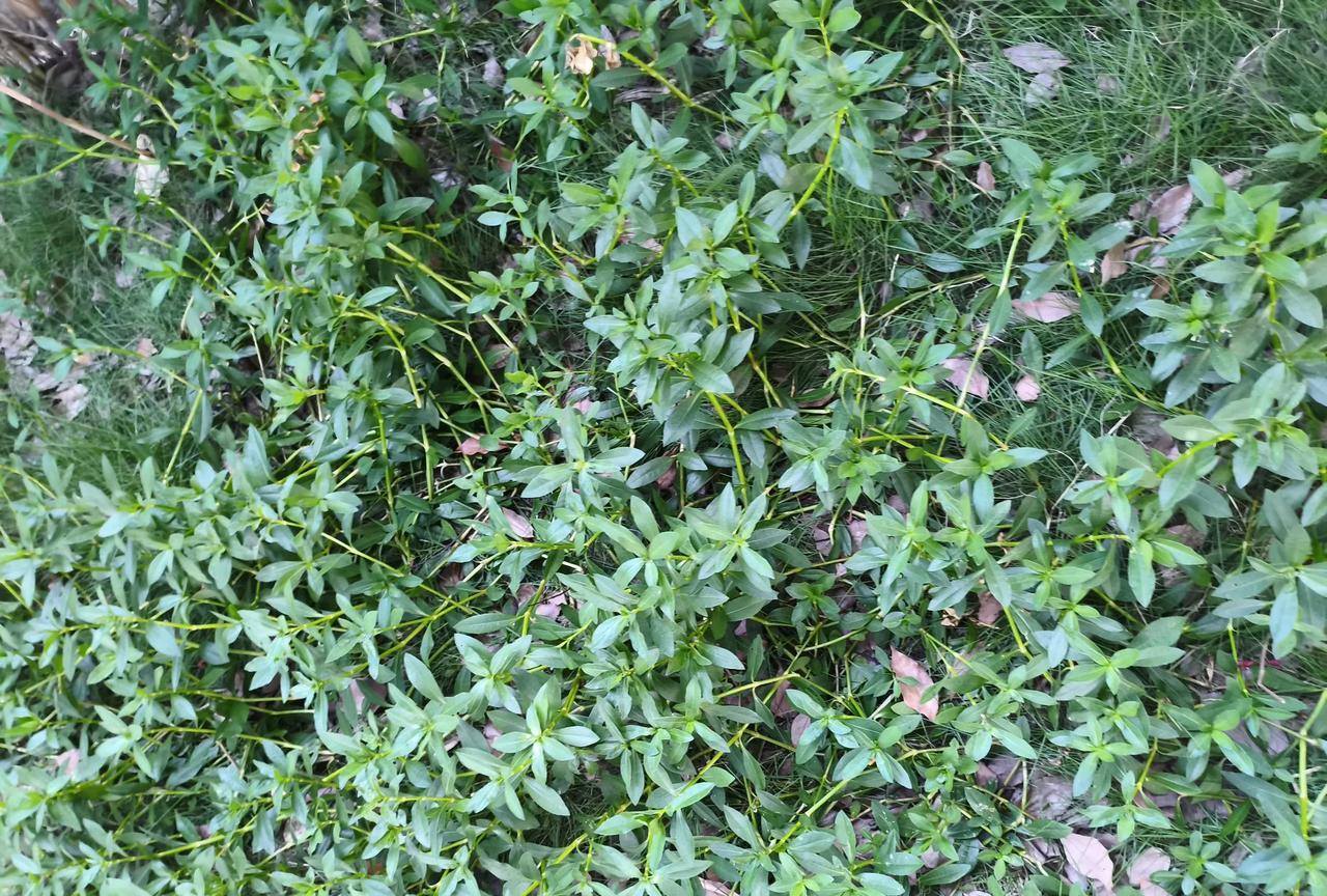 朋友在别人眼中是公务员，很成功，但他自己说压力很大，无论是工作压力还是生活压力！