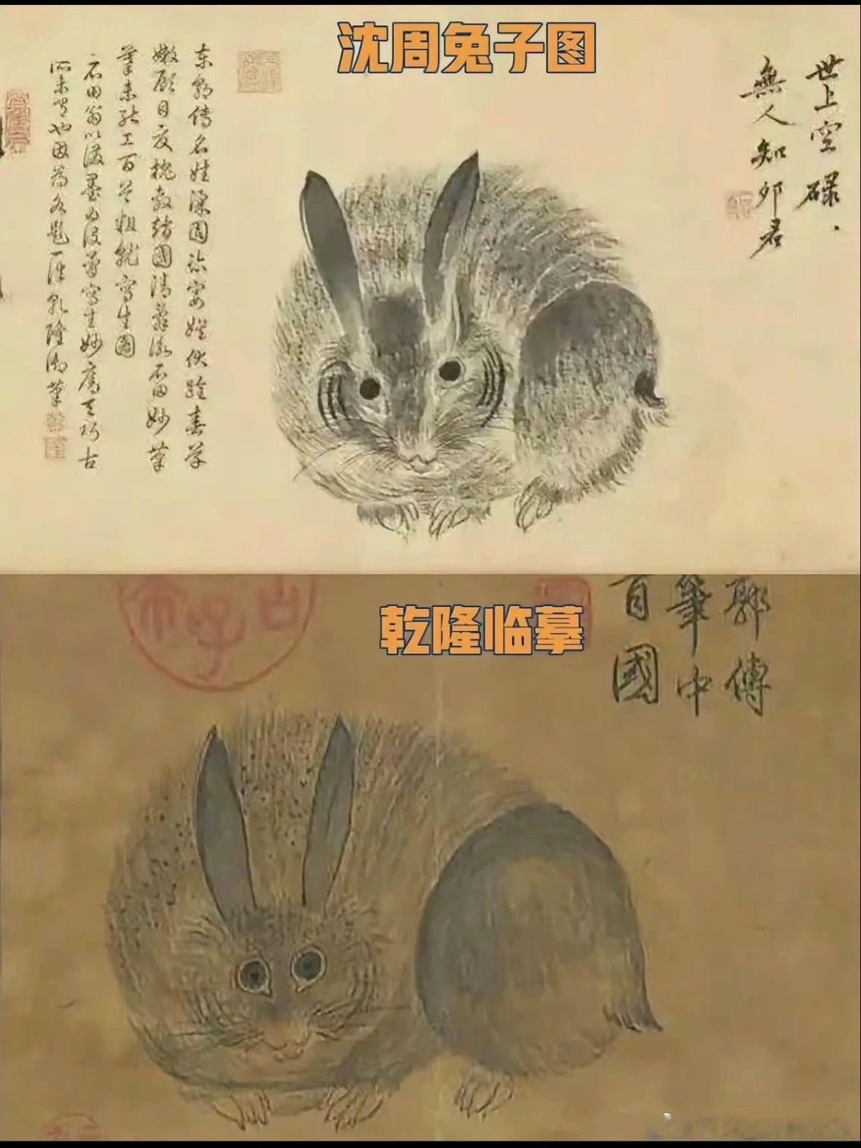 画如面相，有的画一看就是富养出来的。力总说​​​