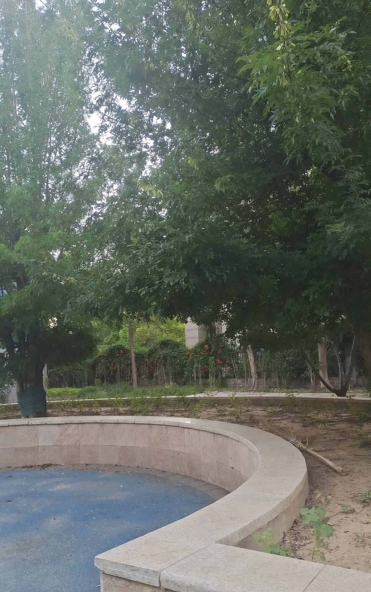 我隔壁邻居大姐家，这几个月一直在断断续续装修婚房，他们家儿子要娶媳妇。可是最近听