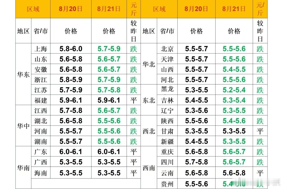每日猪价