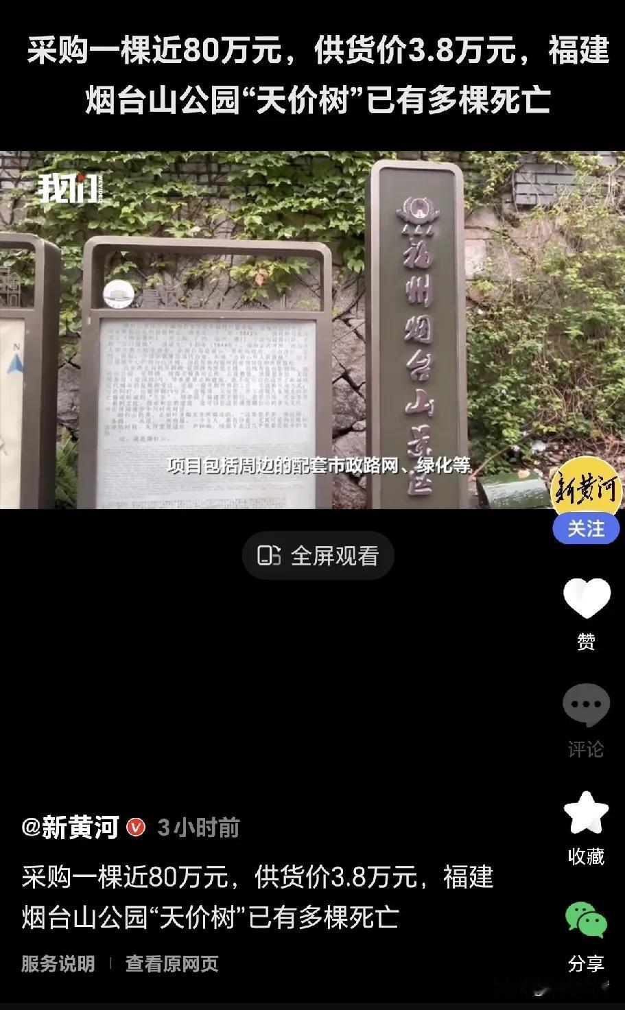 77.6万黑松实为3.8万！一棵黑松，两张价格标签，暴露出惊人的腐败漏洞！福州仓