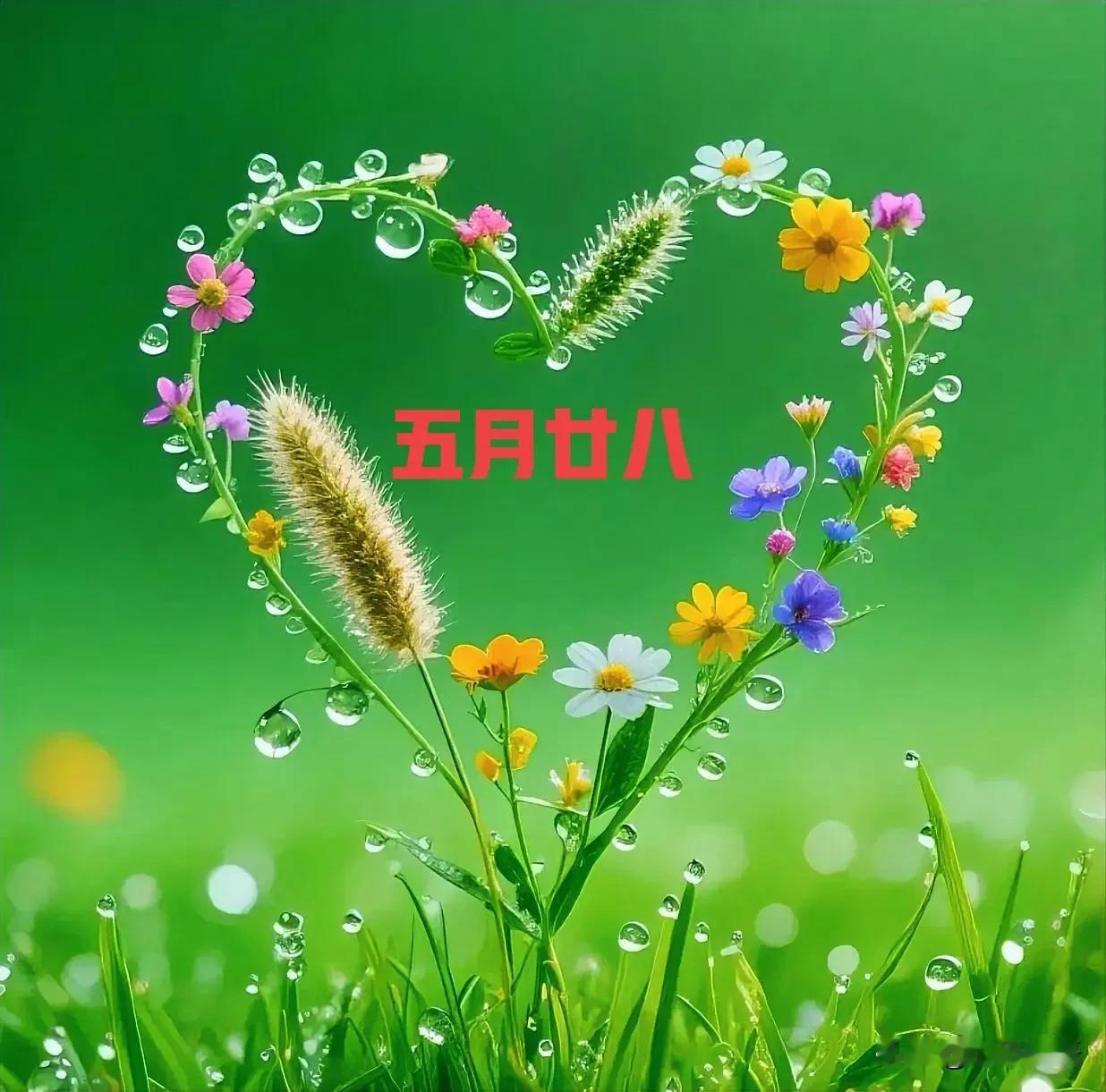 不是迷信！今日五月廿八，建议“1要看，2要吃，忌3样”，别大意古语云：顺天