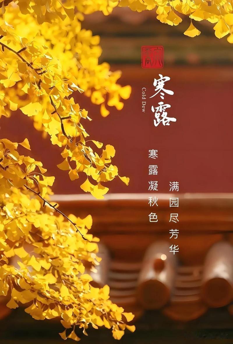 “白天寒露，单衣过冬；夜晚寒露，冻死老牛”，明天几点寒露？秋风吹黄草木，寒