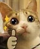 勇敢上桌这话说得真好，女的不再只是旁边看着，而是自己坐上桌还当主人，像黄渝湘这样