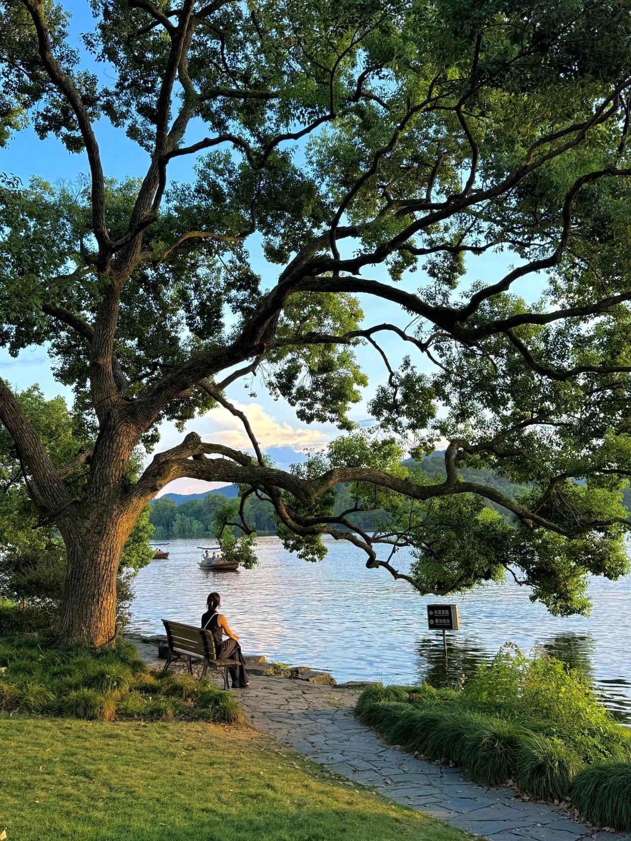 🔥老天在护你！那些纠缠你的病，正在悄悄离你而去不是算法推送，不是巧合遇见。