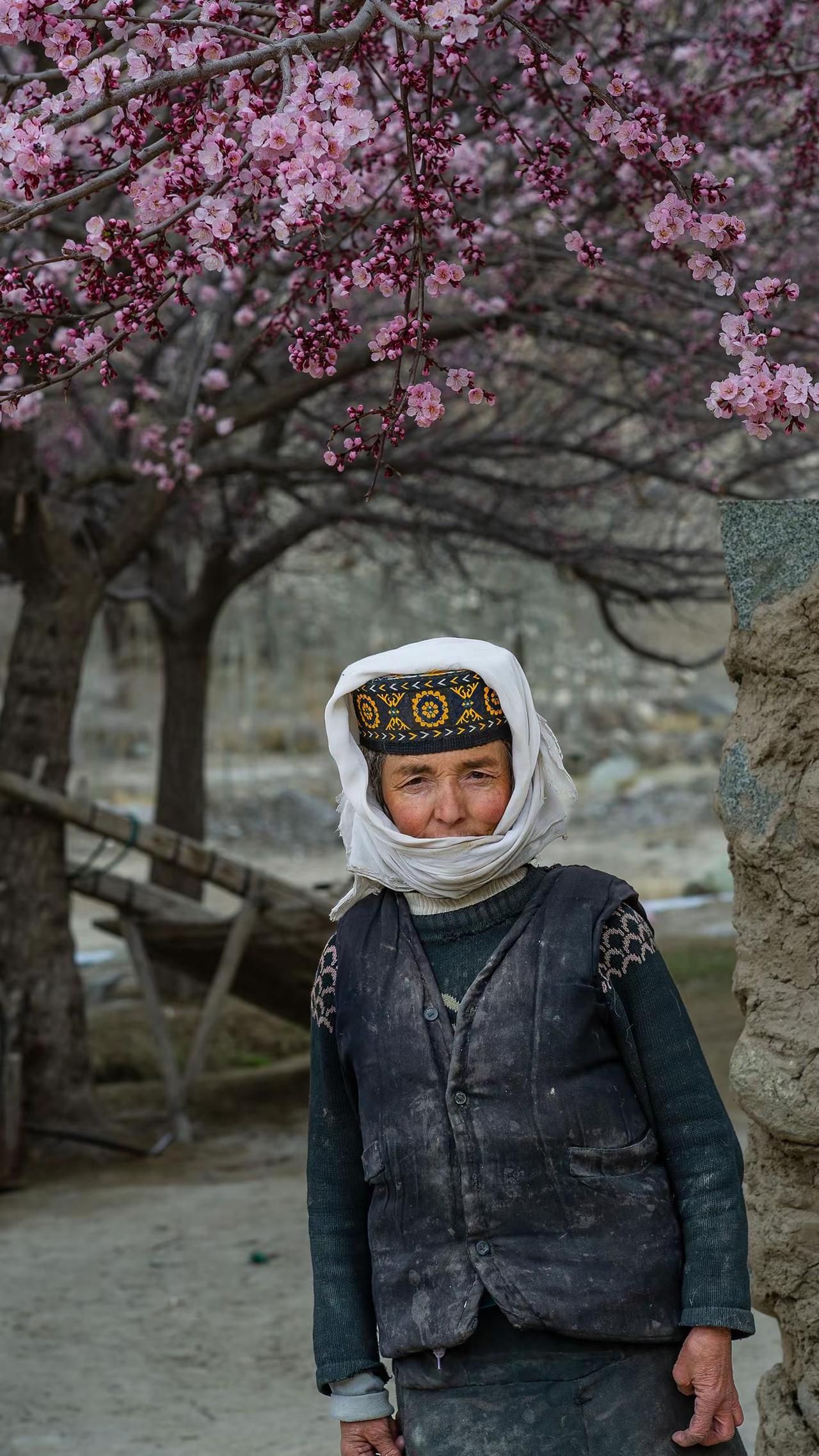 帕米尔的杏花又开了，我的记忆却停在从前。2012年帕米尔的杏花盛开的时候，我到了