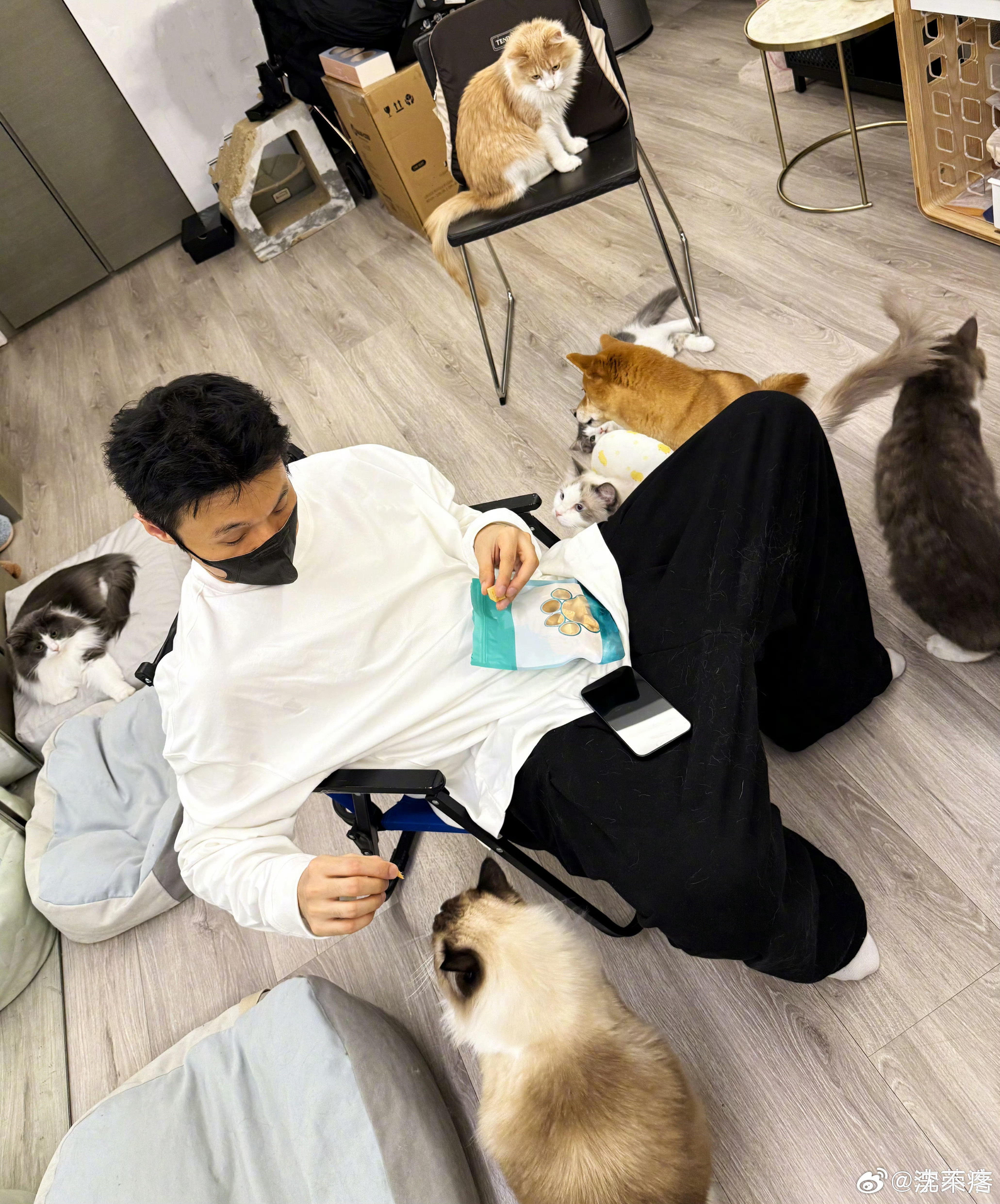 六只猫一只狗！李荣浩的五一我的梦[哭哭]李荣浩​​​