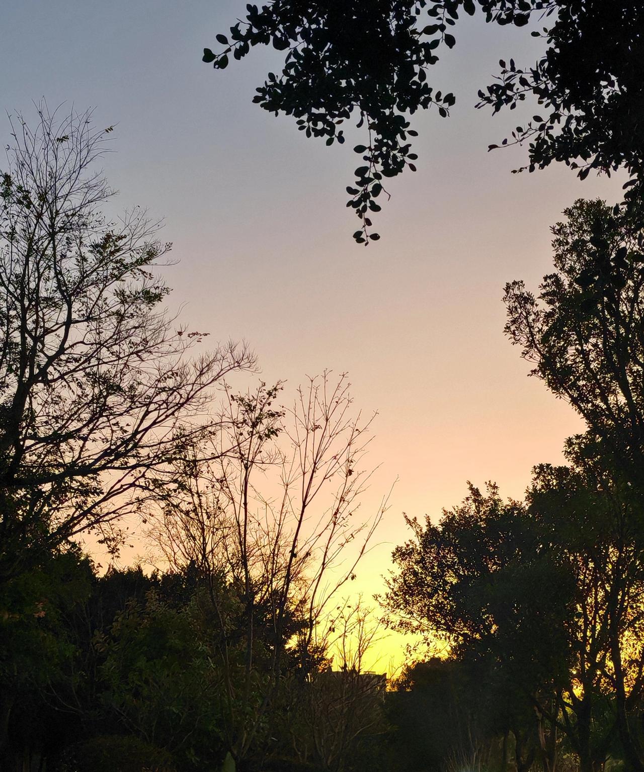 ​我发现个挺有意思的事：今天是2025年的最后一天，办公室里的气氛，好像跟往