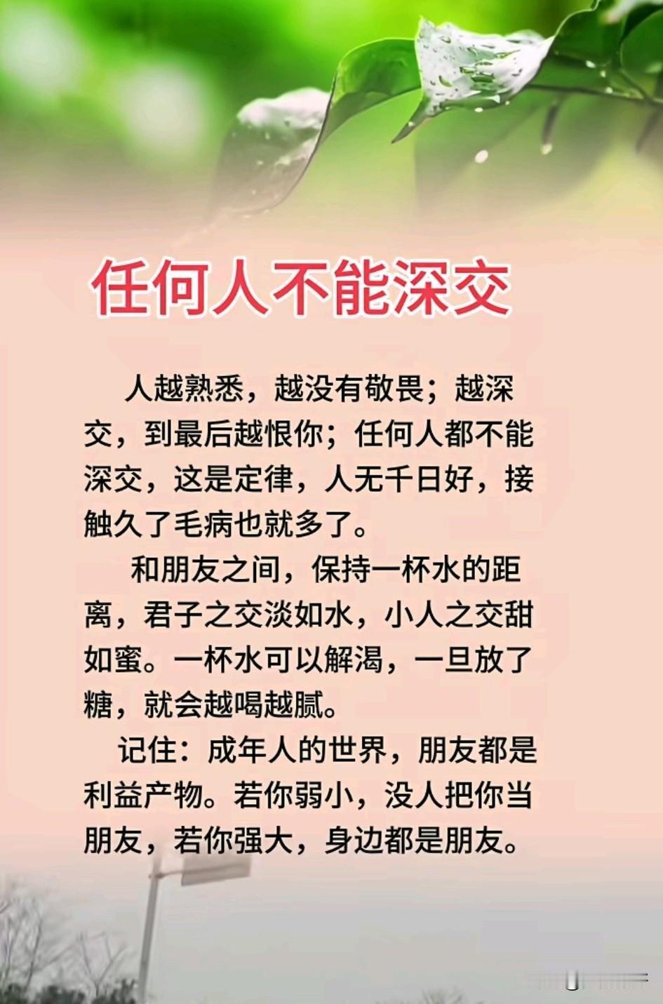 任何人都不能深交，记住，是任何人。不是让你变得冷漠，而是看透人性后的保命清醒