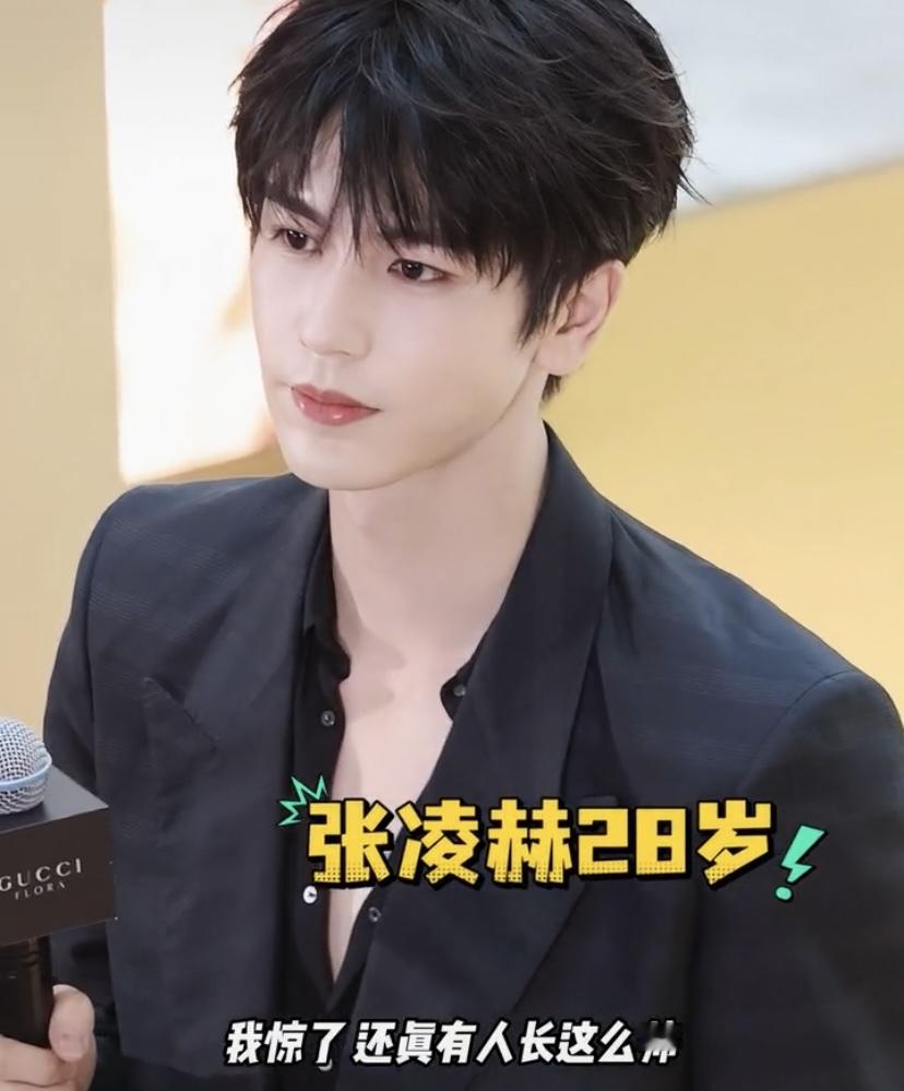 张凌赫这张脸，说是“权威脸”一点都不为过。他五官立体精致，剑眉星目，高挺的鼻梁和轮廓清晰的下颌线，自