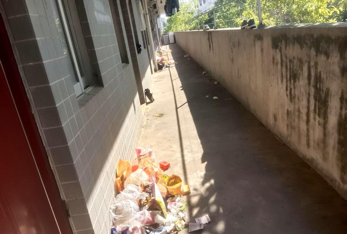 来到东莞的第4天，把仅剩的百来块钱用来打车到沙田物流园这边找到一个日结的顺丰快递