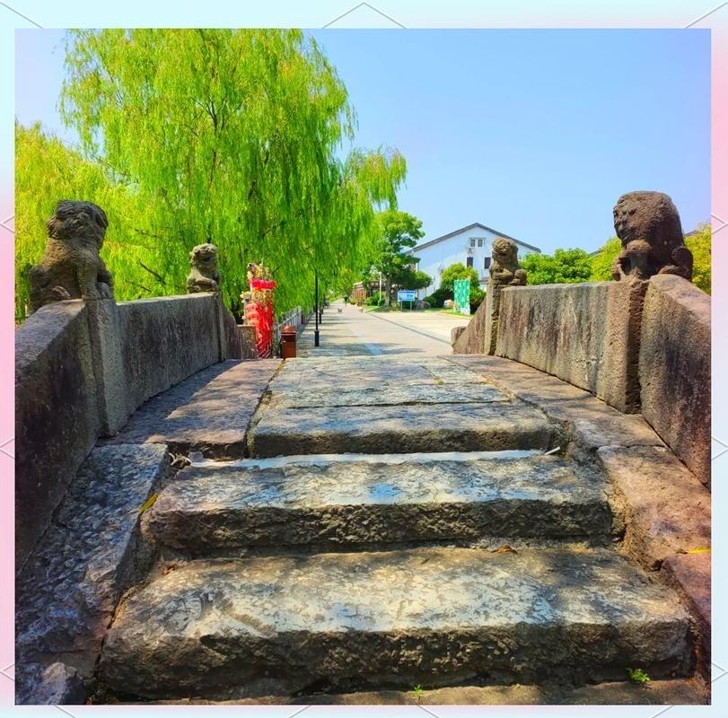 几个白发苍苍的韩国老人，来到浙江湖州的一个小村子，顺着河道走着走着，突然扑通一下