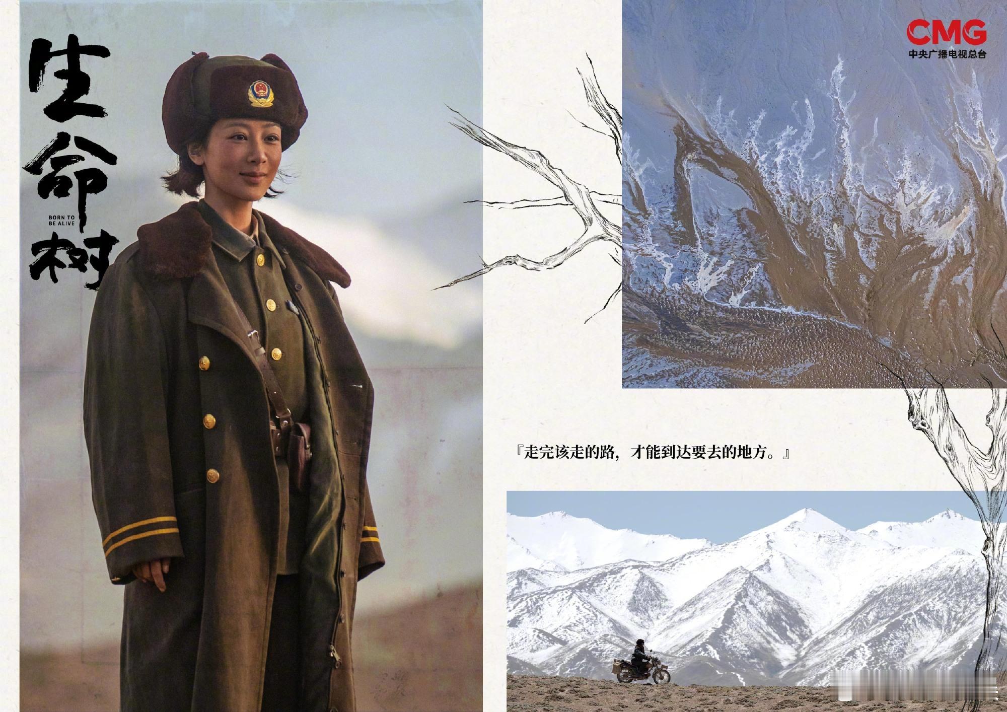 cctv电视剧发了生命树生命树物料审美生命树物料审美，绝，😘😘​​