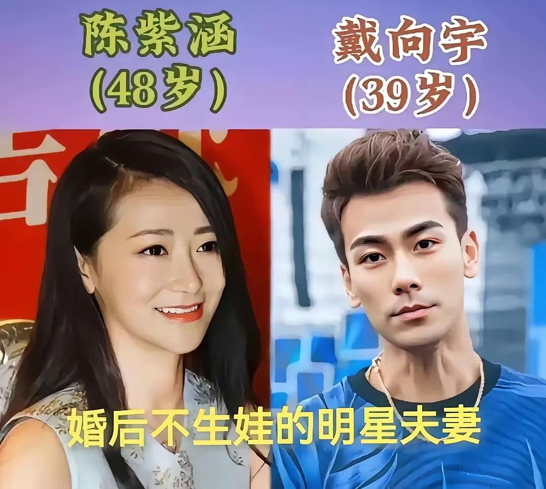 只结婚不生娃，生活是自己的，过得开心才最重要。陈紫函和戴向宇。郑秀文和许志