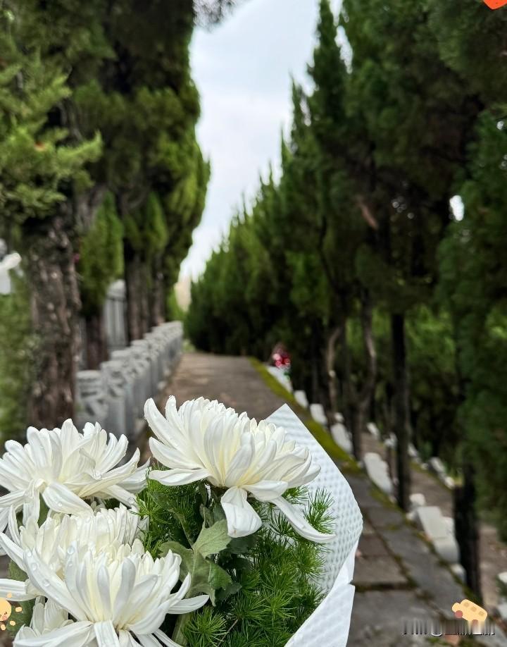 2026年3月30日殡葬新规落地，这波操作才是真·懂老百姓！新规不搞一刀切