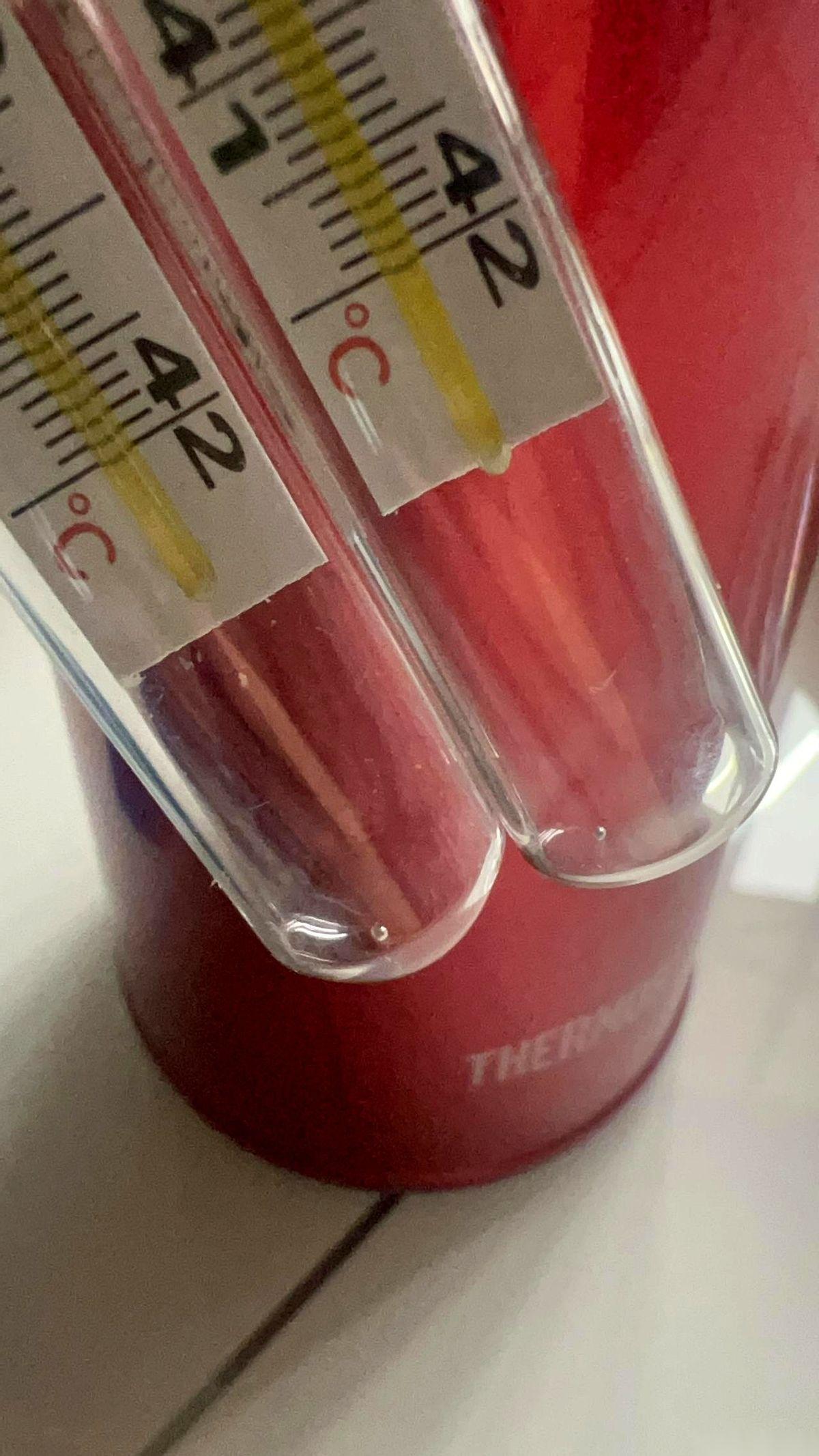 我人都傻了。买了两根水银温度计，拿回来一晃，里面居然是两颗亮晶晶的珠子在滚来滚