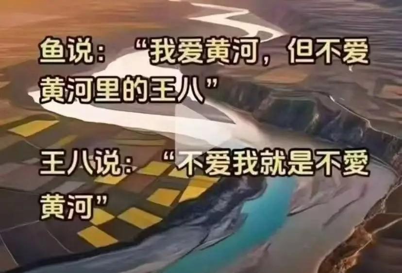 好像说了什么，又好像什么都没说……