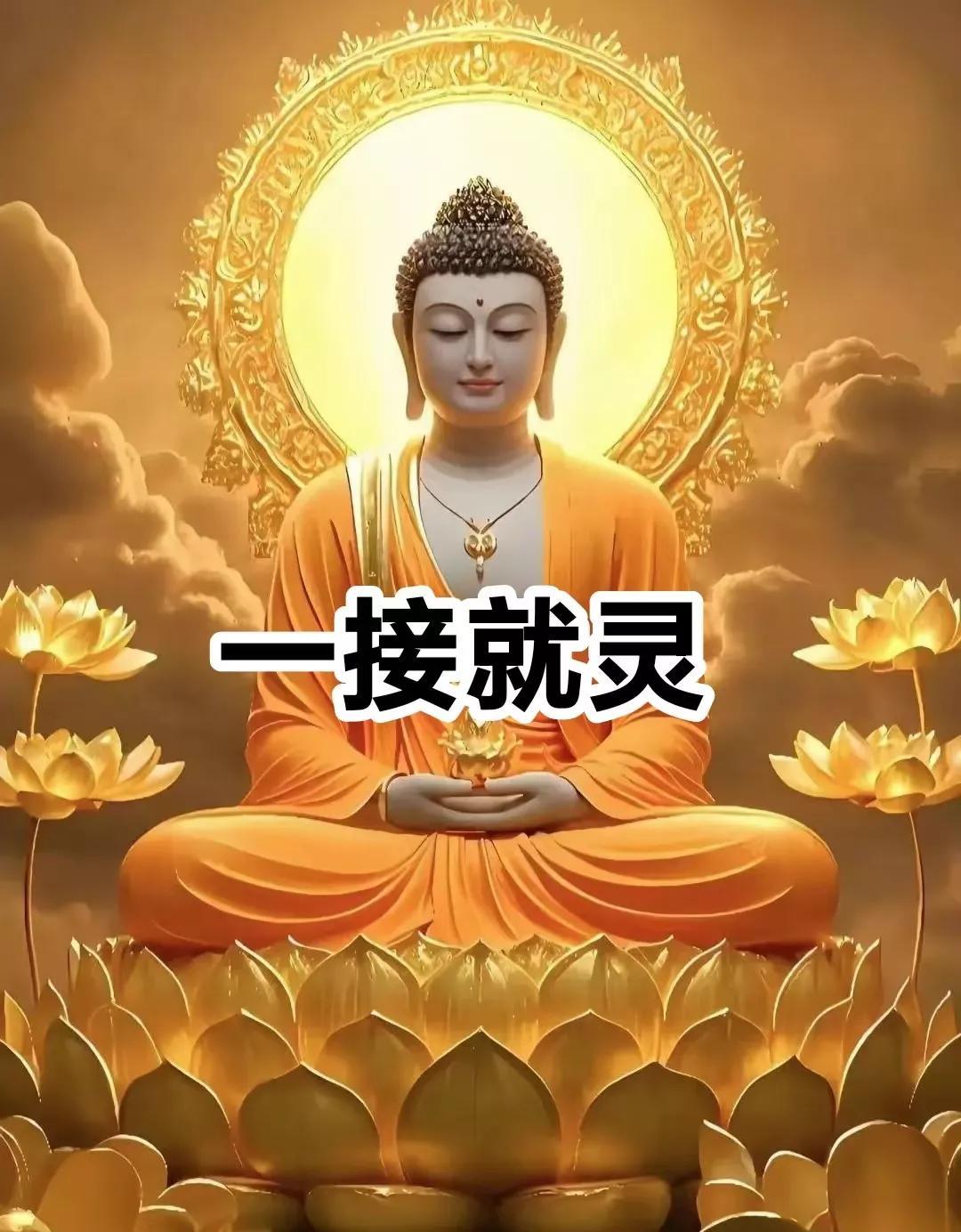 你的大运即将开始，你所有的坎坷不顺都宣告结束，此后生活苦尽甘来，财运亨通，万事如