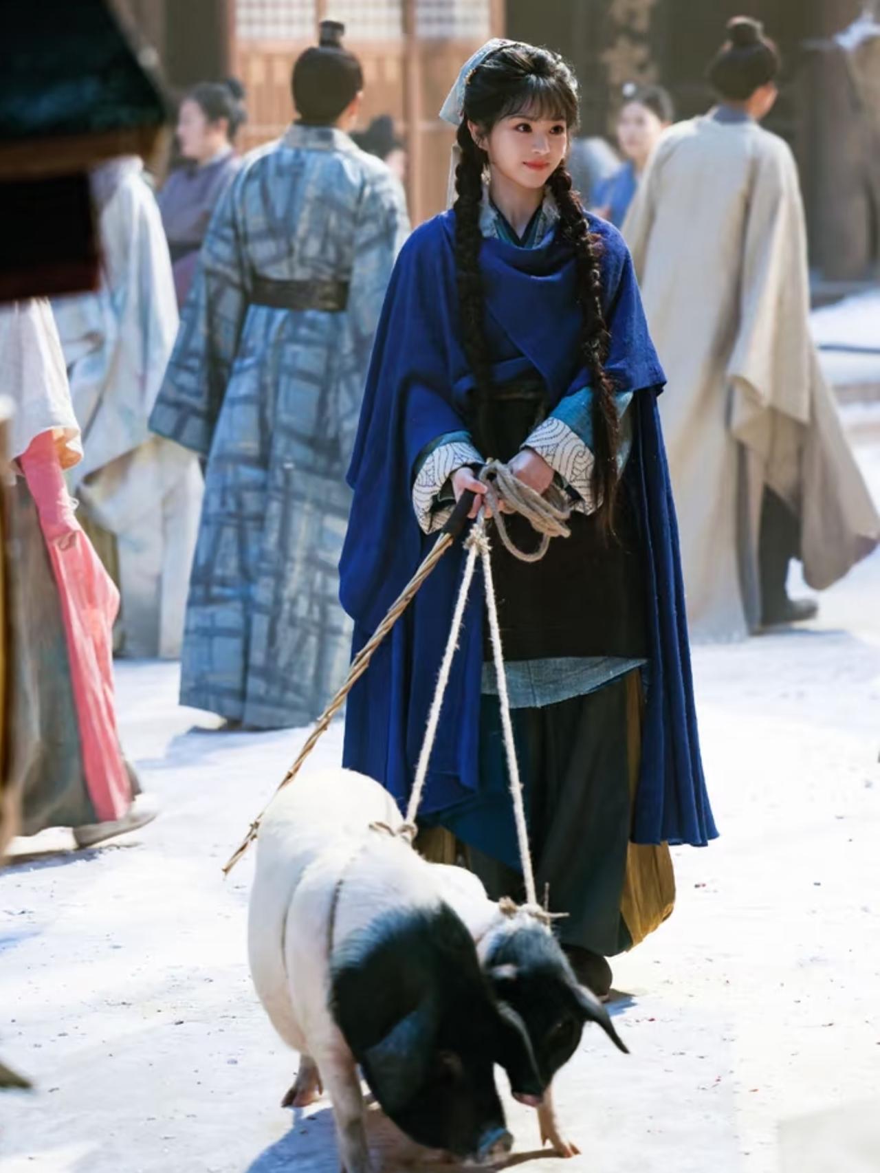 《逐玉》里面的猪被质疑体型太小了，不真实。殊不知……这种猪是金华的两头乌，它