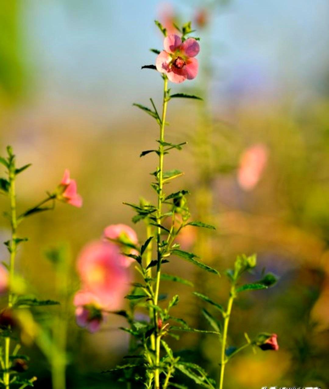 谁能想到，毕业这么多年，大学室友一开口还是那句“煎饼妹”！说实话，当时全班都这