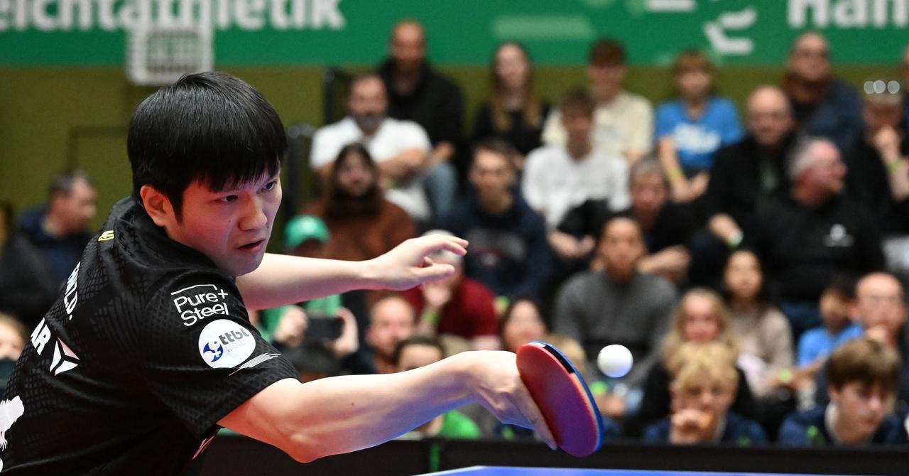 半退休状态的樊振东、陈梦杀进四强，证明刘国梁急流勇退，是看透了国乒人才断档？1、