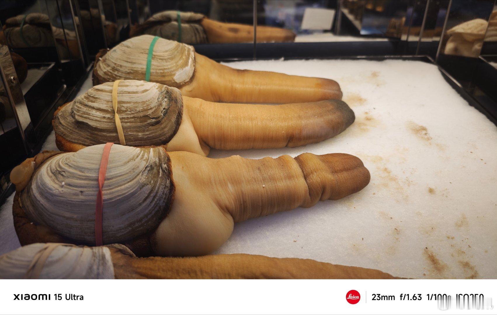 看谁不爽就吃谁，兄弟们帮忙点个菜呗珠海