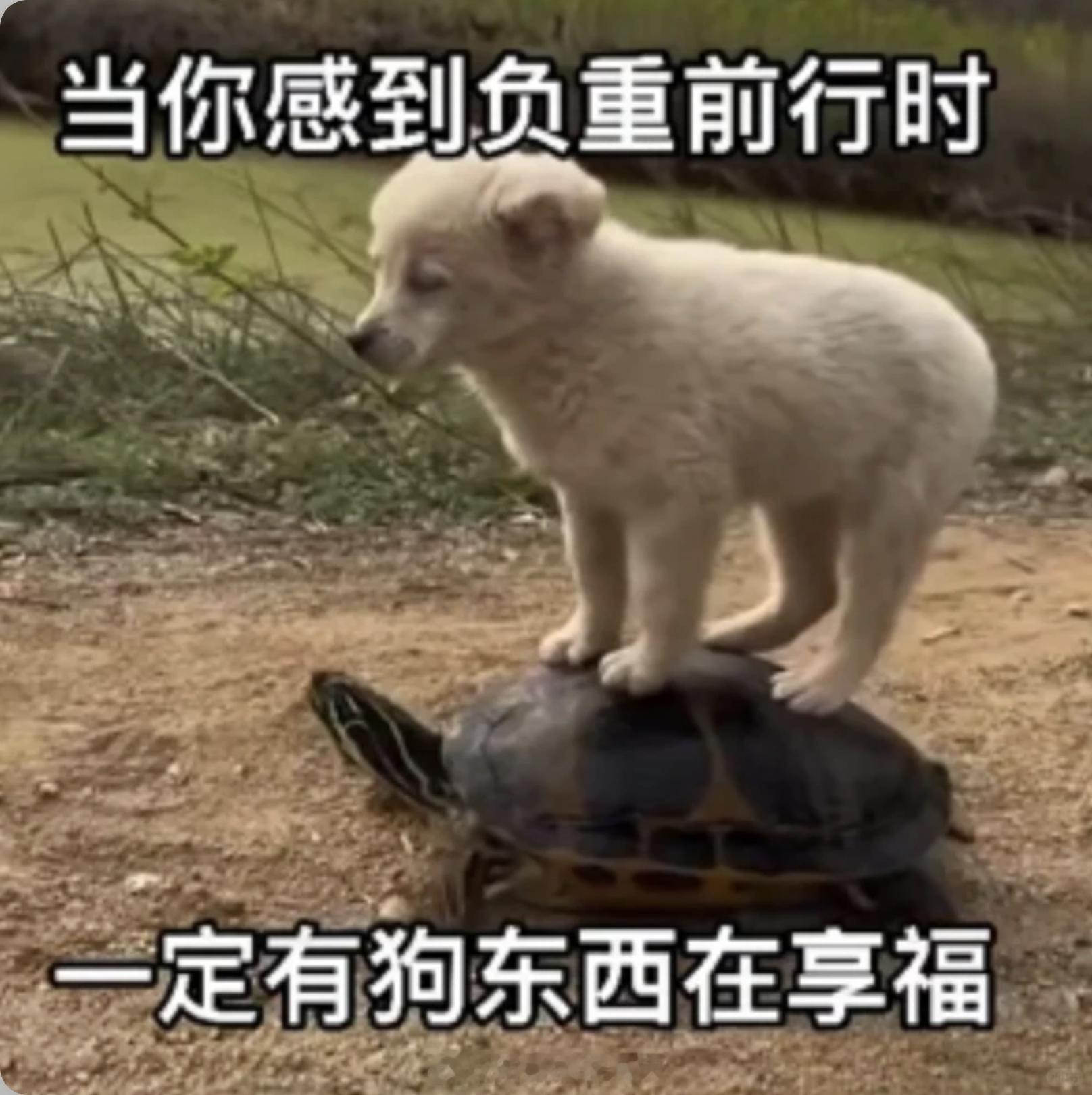 贾浅浅硕士学位被撤销，还是得人民大学打个样~为什么普通人感觉上升通道狭窄，就是