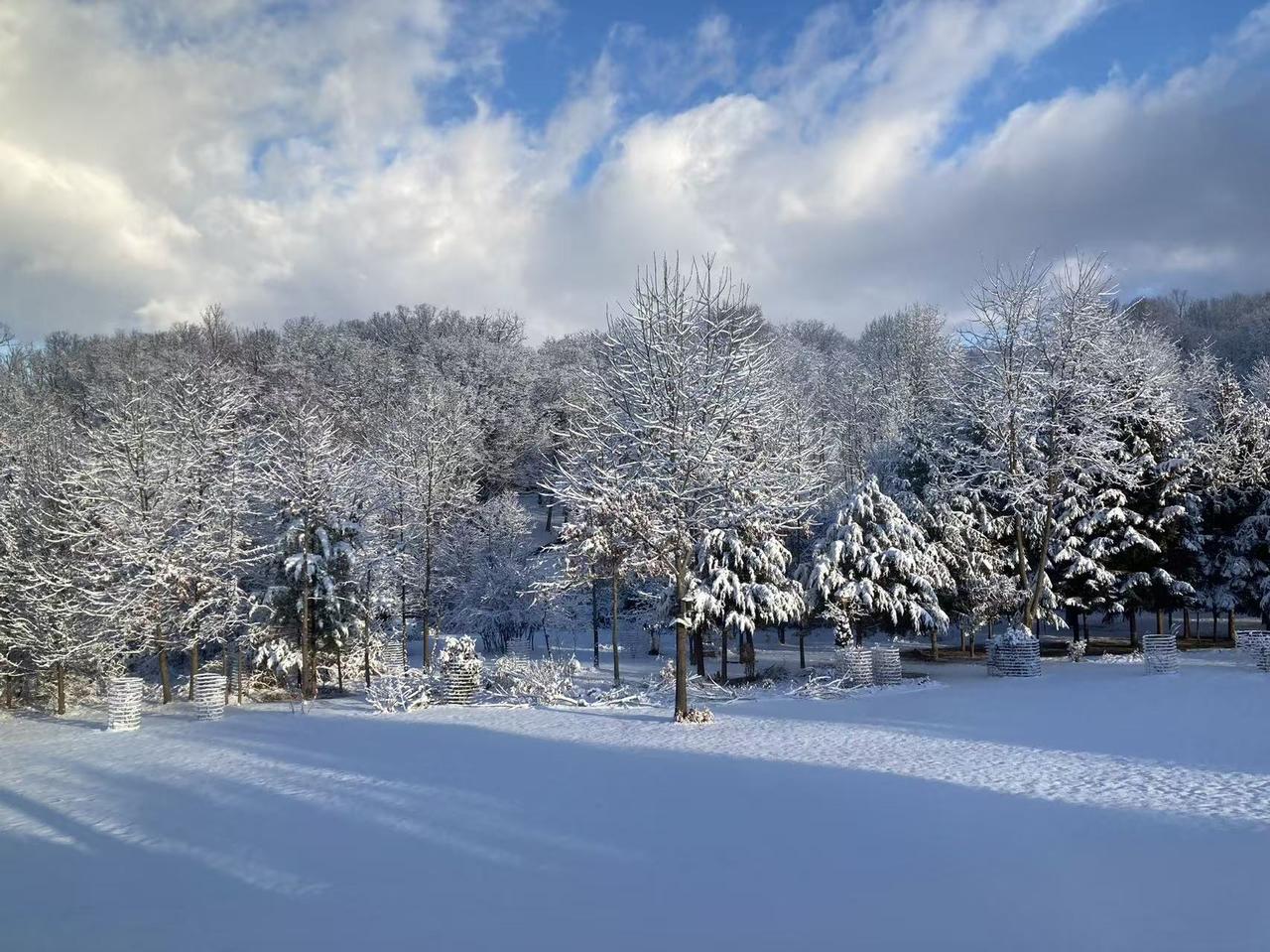 最近天气很冷，昨晚下了一场雪。苏州应该也很冷了吧。一一妹妹告诉我她们那里下雪了
