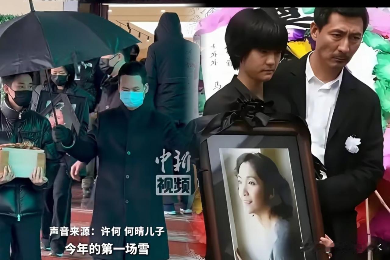 一张遗像，一个孤零零的孩子。这画面看得我心里发堵。许何捧着母亲何晴的