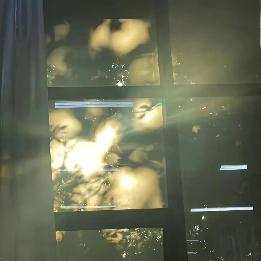 日子慢慢走，心事轻轻放