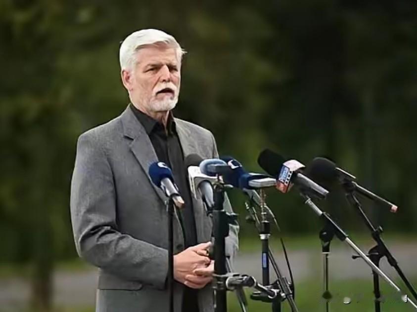 捷克政坛彻底乱套！总统被自己人打脸，这下有好戏看了？捷克这波政坛大戏比宫