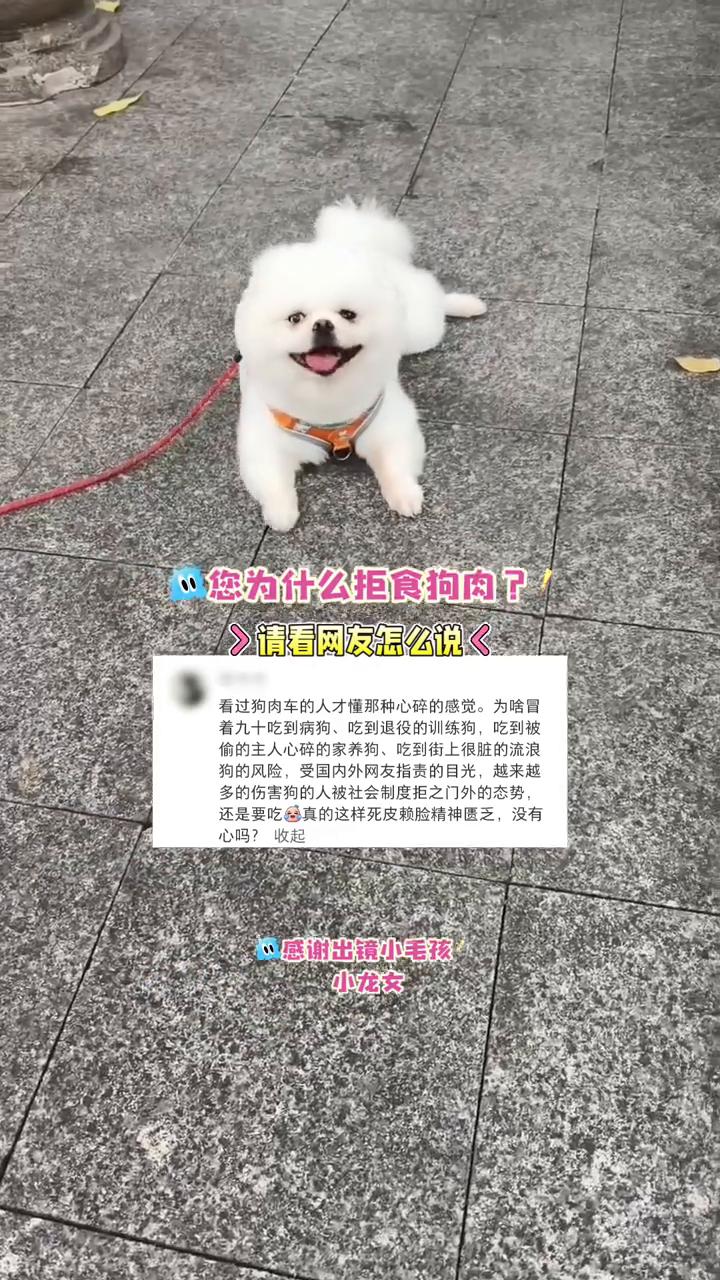 您为什么拒食狗肉？请看网友怎么说。看过狗肉车的人才懂那种心碎的感觉。为什么冒着