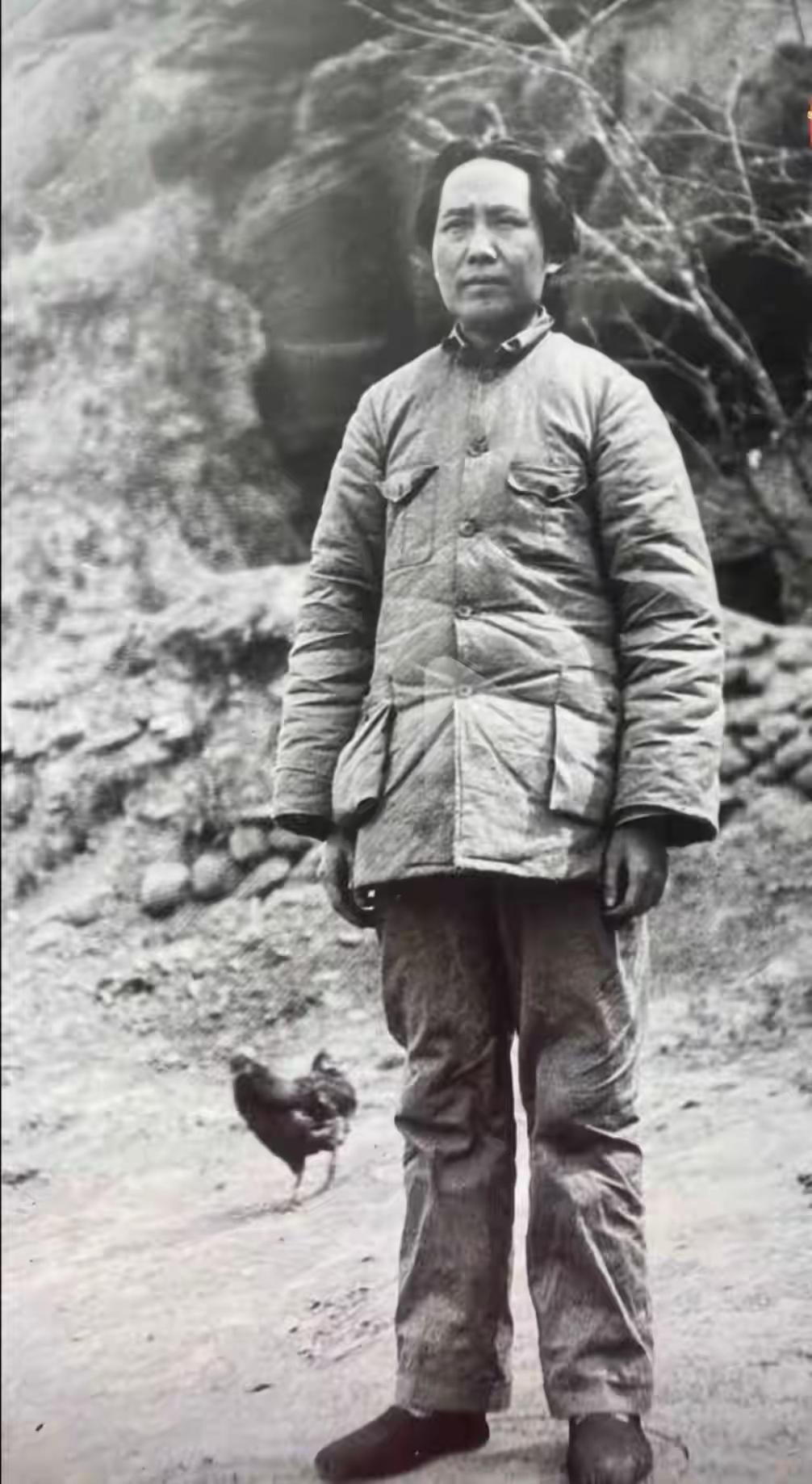 凭什么？伟人子女，竟没有一个是官二代？有人可能会问，那个年代，当大官的子女，