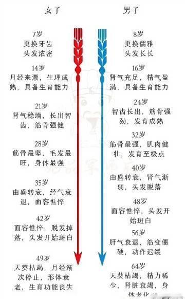 一图看懂：黄帝内经解密；女人是7的倍数；男人是8的倍数​。