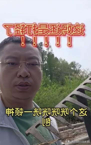 小故事！这真是天道有轮回，苍天饶过谁，王百万来找大壮要钱，不给就