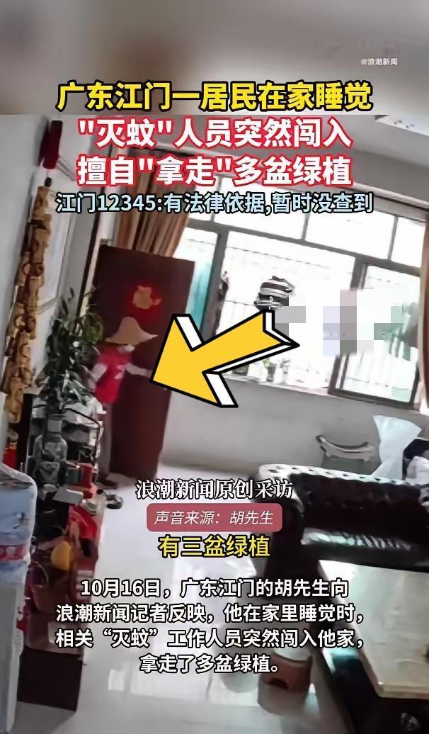 江门男子家中熟睡，“灭蚊队”推门搬绿植？网友怒了：钥匙哪来的？“睡一觉醒来