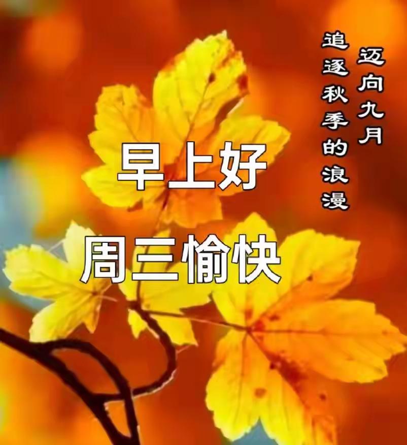 金秋周三启新章；秋风送福暖心房；喜乐常常身边绕；安康岁岁福满堂；平安日日