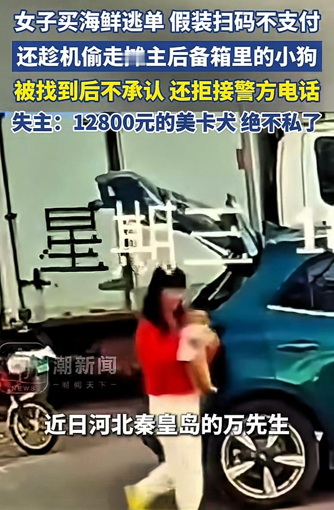 “必须严惩！”河北秦皇岛，一红衣女子在路边买了300元海鲜后佯装扫码付款，却趁摊